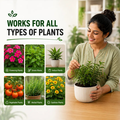 Organic Style Slow Release Plant Nutrient Tablets | Long Lasting Plant Food Tablets for Home Gardens Balanced Nutrition Fertilizer Tablets for Plants